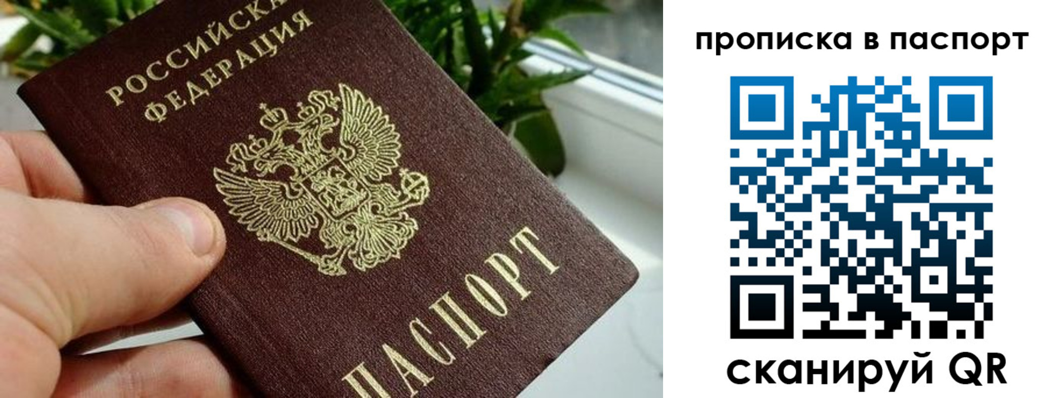 временная регистрация купить в Осташкове